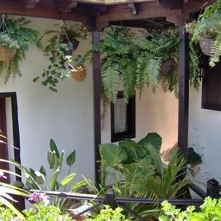 Fuer 1 Personen Ca 15 M In Icod De Vinos, Teneriffa Nordkueste Von Teneriffa * إيكود ذي لوس فينوس