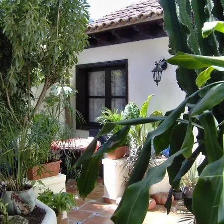 Apartment Fuer 1 Personen Ca 15 M In Icod De Vinos, Teneriffa Nordkueste Von Teneriffa *