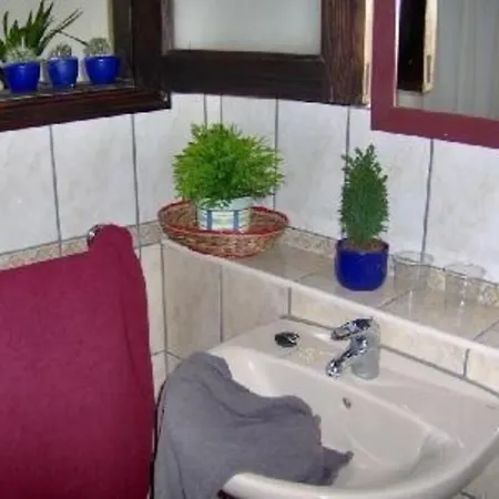 Apartment Fuer 1 Personen Ca 15 M In Icod De Vinos, Teneriffa Nordkueste Von Teneriffa